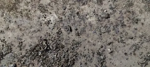 The basement ceiling, close up.